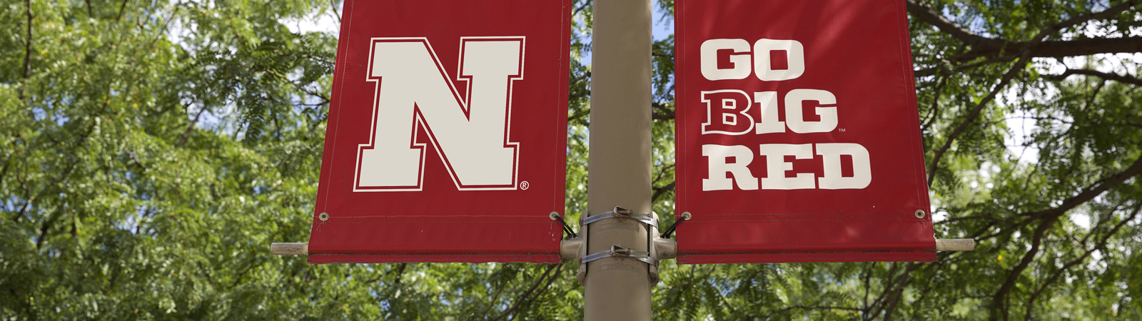 N banner on campus